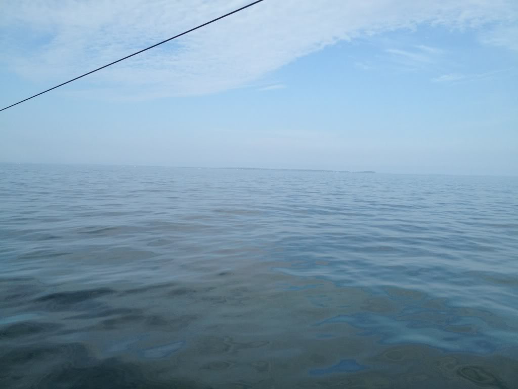 Name:  16d98643.jpg
Views: 21
Size:  45.9 KB