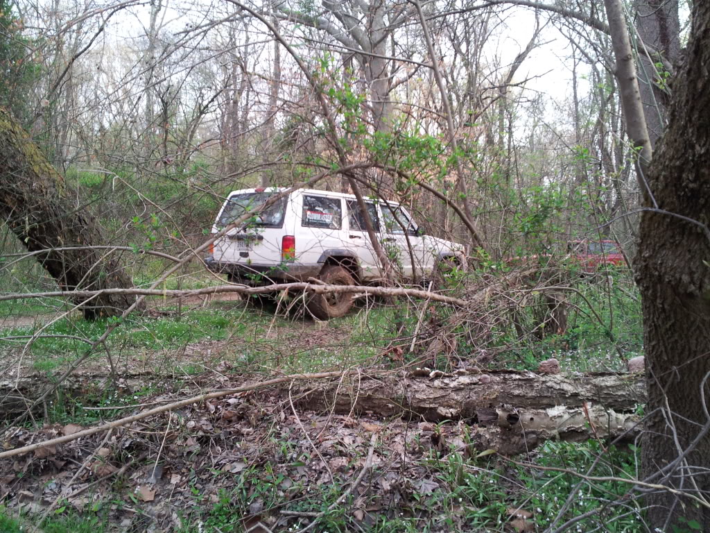 Name:  20120401_183253.jpg
Views: 24
Size:  320.5 KB