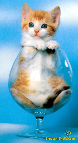 Name:  cute-kittens-pic51.jpg
Views: 29
Size:  30.1 KB