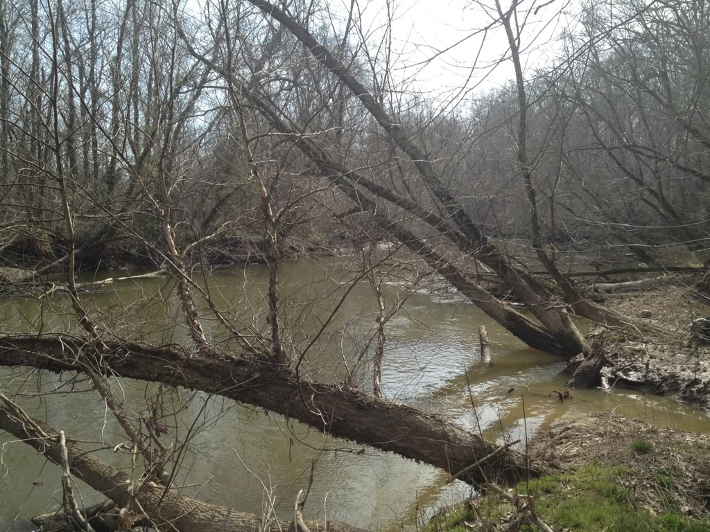 Name: 97456b8c.jpg
Views: 16
Size: 258.1 KB