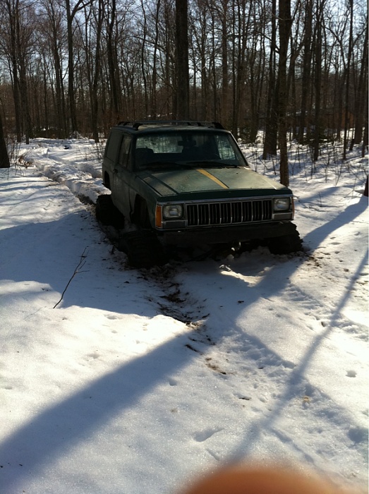 Snow pictures-image-3046172902.jpg