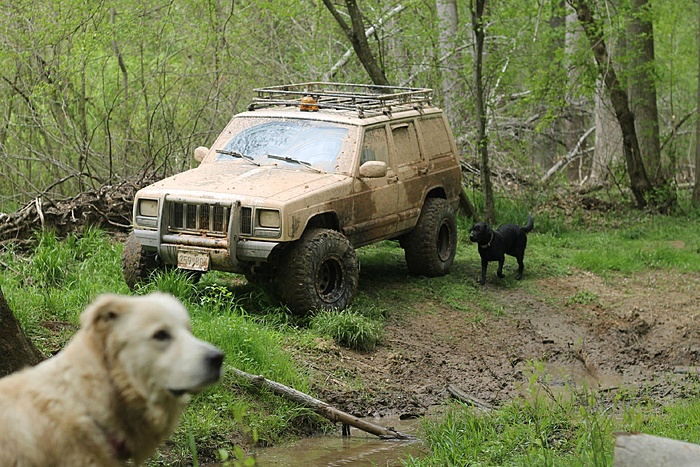Maryland Cherokee Club-gmzfzug.jpg