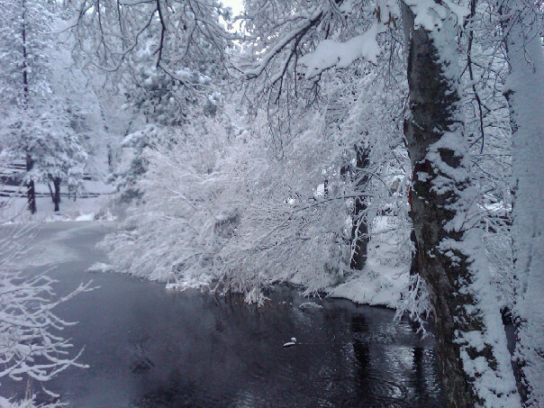 SNOW!!!!!!!!! Post your Pics-23489_1211209928866_1487305323_30499074_716948_n-1.jpg