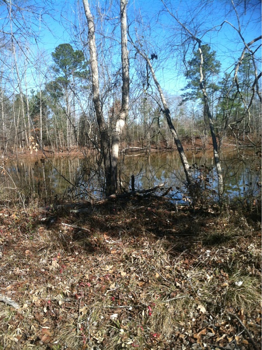 North Carolina ~PIC REQUEST~-image-2504913052.jpg