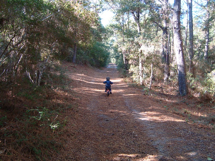 Outer Banks Jeep Mutiny-dsc03130.jpg