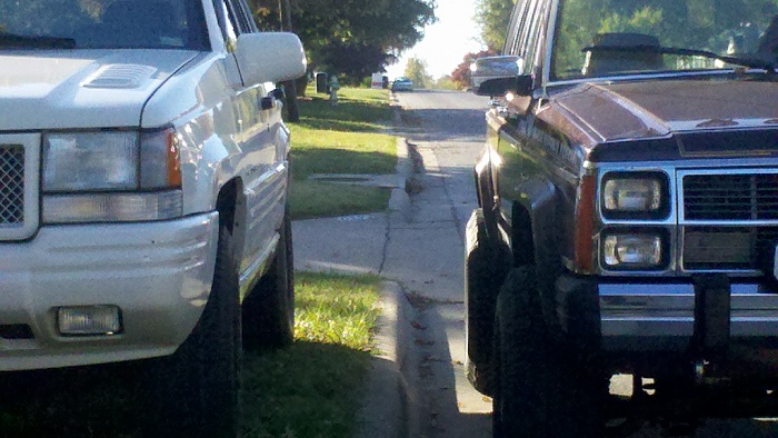 My old waggie-2011-10-24_16-31-28_273.jpg