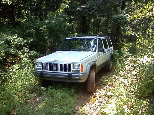Name:  jeep in woods.jpg
Views: 219
Size:  67.2 KB