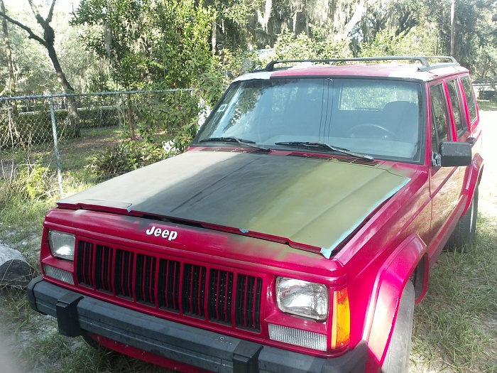 1996 XJ Country &quot;Fake Snake&quot;-img_20121014_163545.jpg