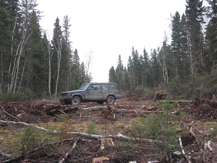 Fun with 2 Jeeps-img_4740.jpg