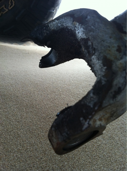 Butch's Big Blue-image-3487549772.jpg