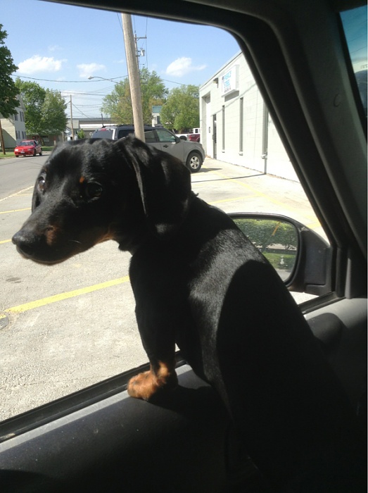 The Poser project-image-265338396.jpg