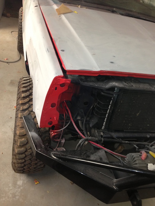 Project Rock Lobster-image-608299921.jpg