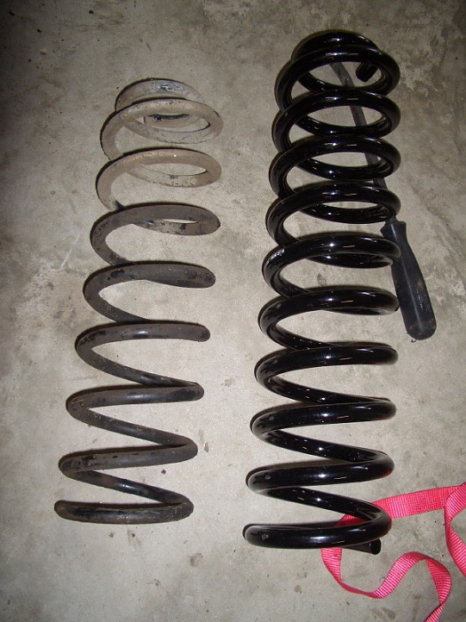 Fallon's Build Thread-cimg0066_1.jpg