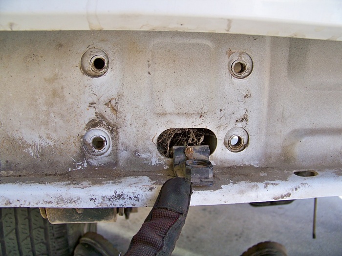 Bird's '91 Build-100_7284.jpg