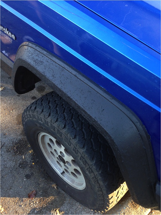 Blue Beast-crop4.jpg