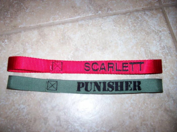 Project Scarlett: taking my time and doing it right the first time-101_3182.jpg