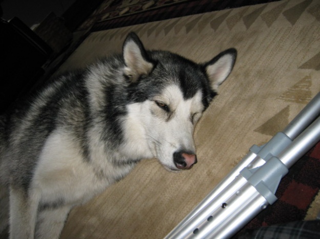 Name:  IMG_0143.jpg
Views: 101
Size:  91.6 KB
