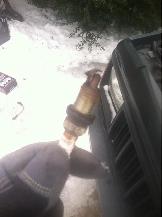 Father/Son Build-image-813334124.jpg