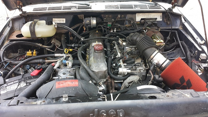 Knowledge, input &amp; opinions NEEDED!-under-hood-1-.jpg