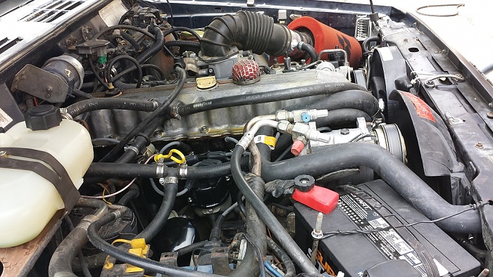 Knowledge, input &amp; opinions NEEDED!-under-hood-3-.jpg