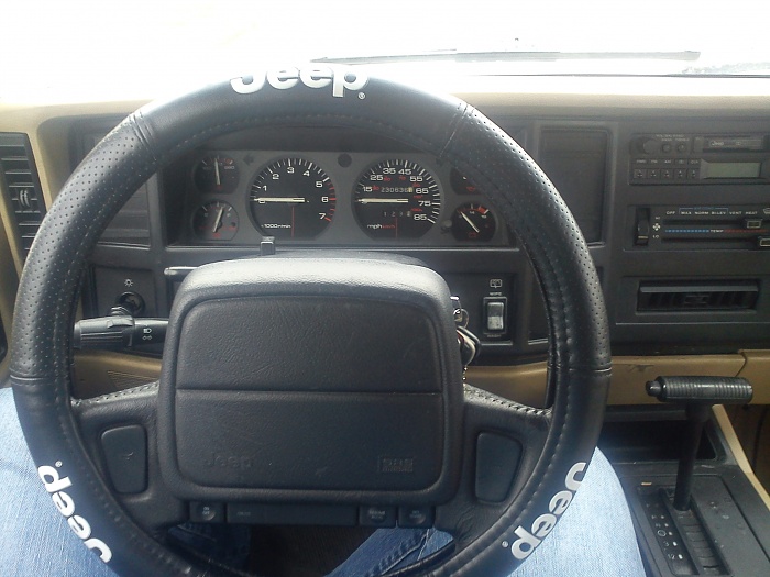 Regular Cherokee-interior-crocodile-alligator.jpg