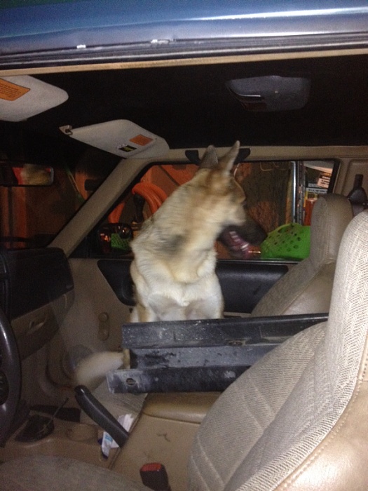 Taking on the two door-image-3960106566.jpg