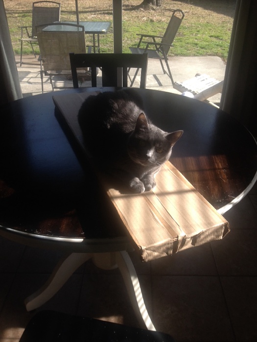 Taking on the two door-image-1469059076.jpg
