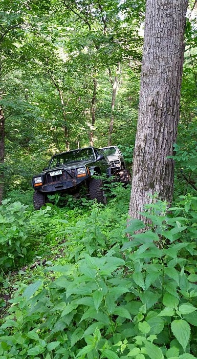 MY 94 XJ very slow build.-11026323_10207088015227584_7129109281590272892_n.jpg