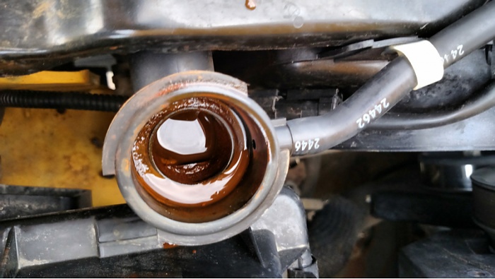 Cherokee Champs Adventure Mobile-image-2834992131.jpg