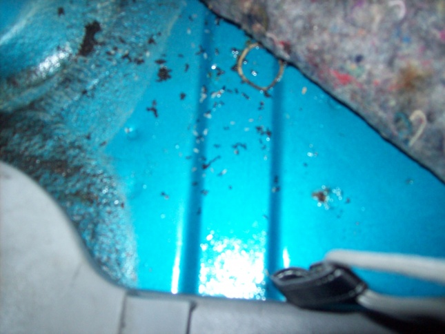Name:  Picture 019.jpg
Views: 105
Size:  90.0 KB