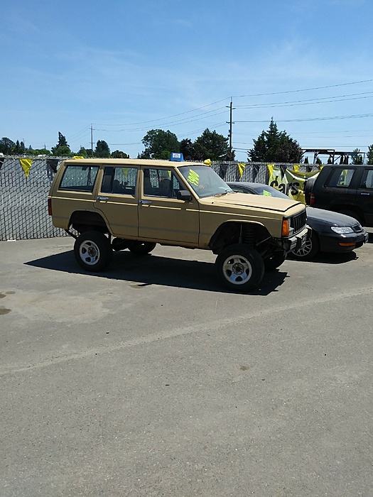Junkyard find: project TAN BOMBER-message_1498422915520-2340x3120.jpg