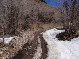 Name:  P3310210.jpg
Views: 157
Size:  36.2 KB