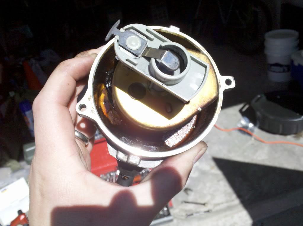 Name:  IMG_20120214_135909.jpg
Views: 960
Size:  81.2 KB