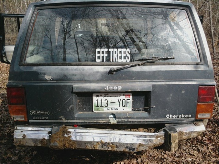 The ugly 89-eff-trees.jpg