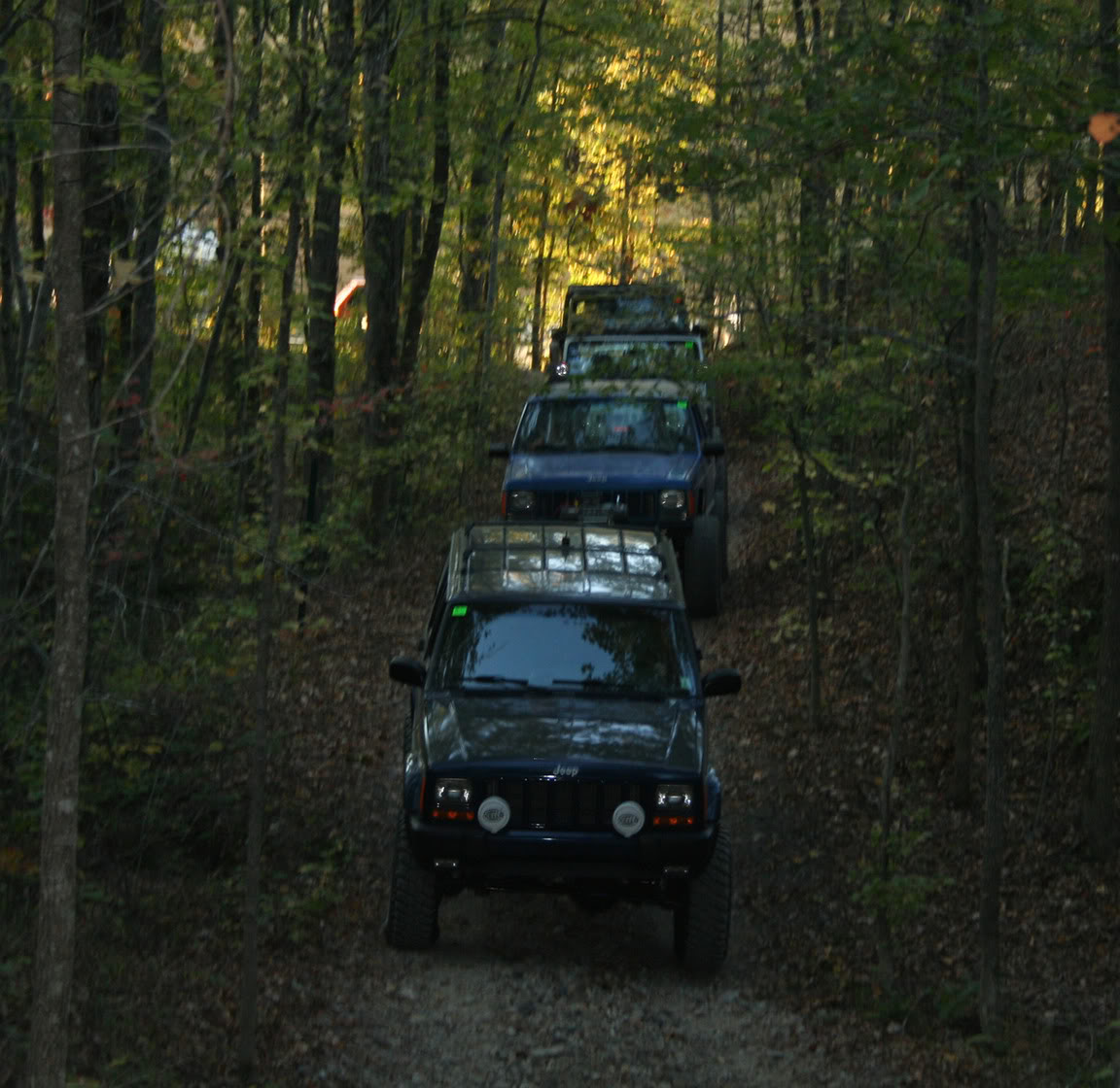 Name:  IMG_0196-crop1200.jpg
Views: 359
Size:  190.9 KB