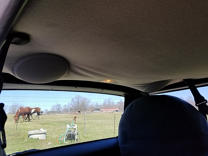 2000 XJ "Spoingy"-20180326_122105.jpg