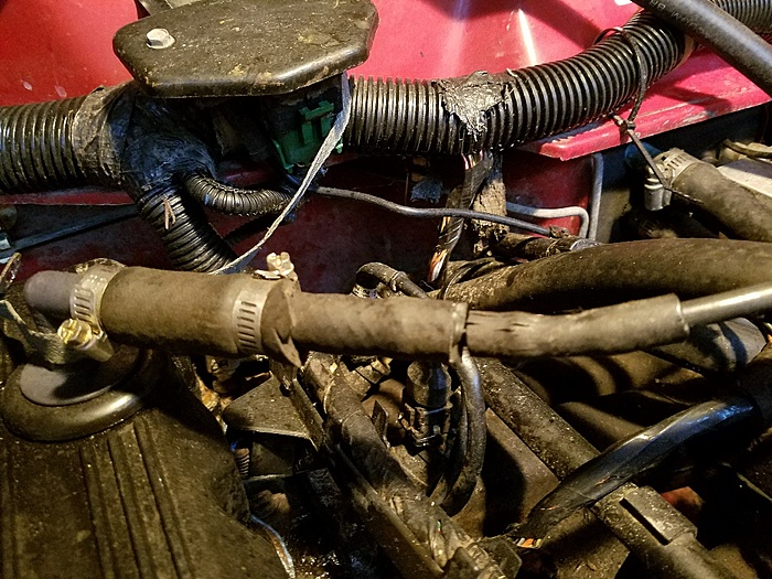 RED MESS-pcvreplace.jpg