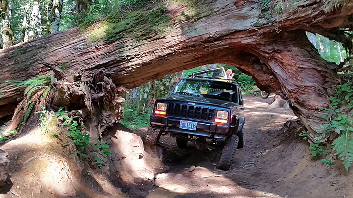 Indeepwithajeep's '98 progress thread-kpzdns1.jpg