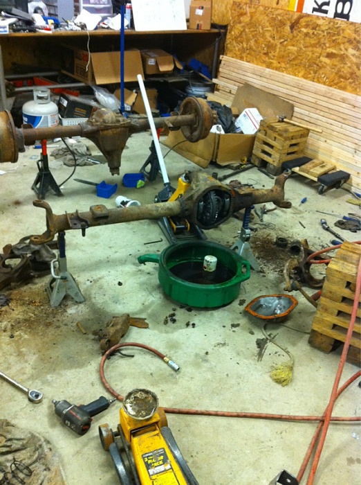 Project jiggy!-image-3062758994.jpg