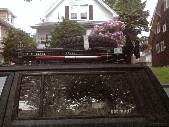 My 1990 Cherokee-hi-lift-jack.jpg