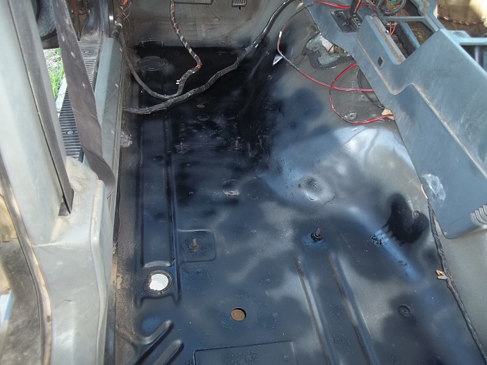 Starting From Scratch-100_0731.jpg