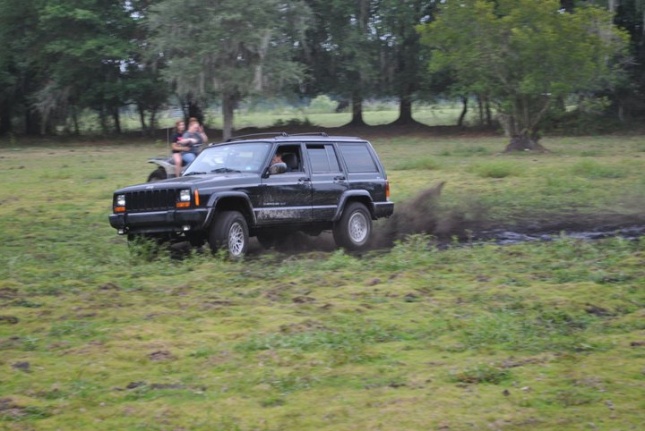 Project aussie-brandy-mudding.jpg