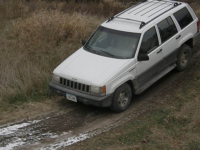 project: weekend off roader!!!-tree-2011-076.jpg