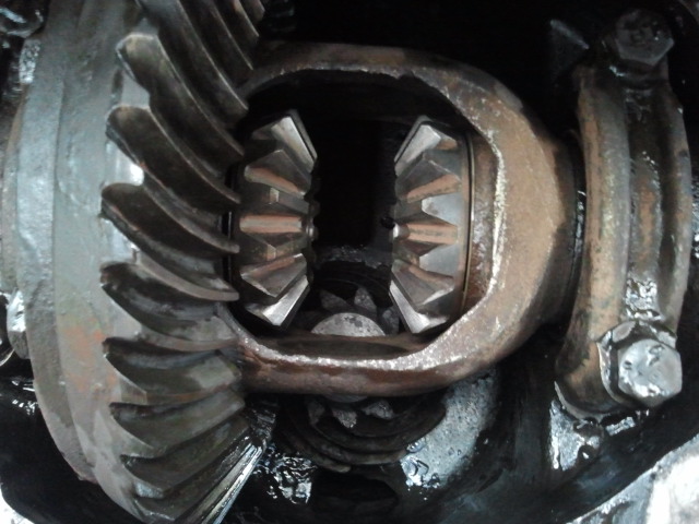 D35 Differential gears fell out-differential.jpg