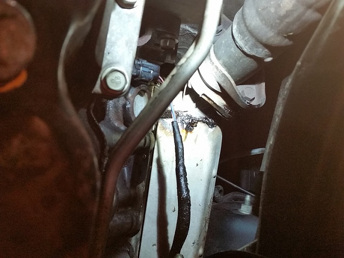 Oil leak-20141226_164203.jpg