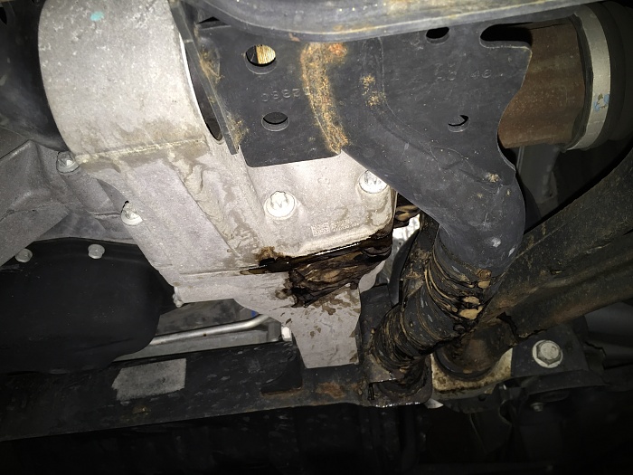 Oil Leak-image.jpeg