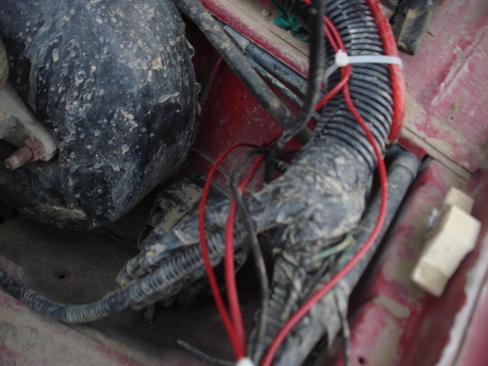 spotlight wiring-dsc04561.jpg