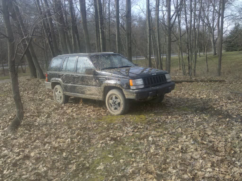 Name:  1e358c0c.jpg
Views: 1978
Size:  224.3 KB