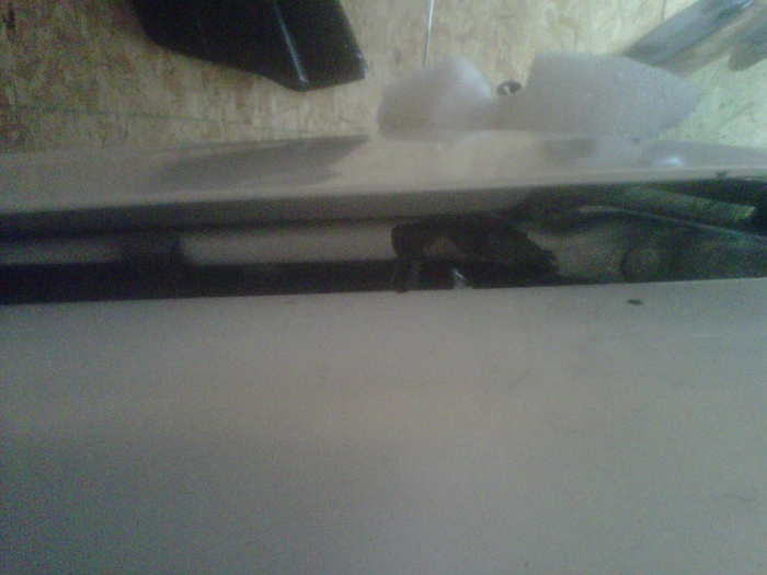 Hood problem-img00143-20110227-1117.jpg
