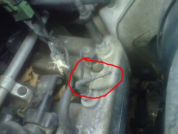 What is this?-img00152-20110306-1318.jpg